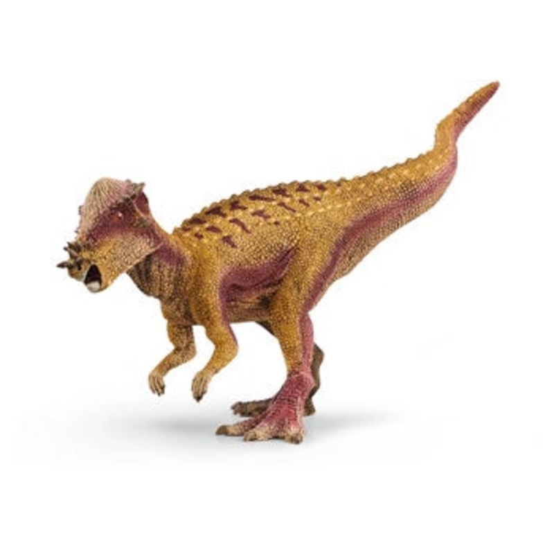 Schleich – 15024 Pachycephalosaurus
