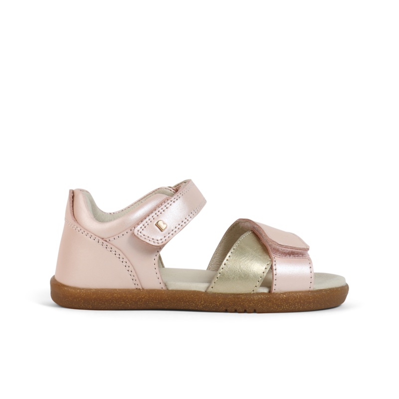 IW Sail Seashell + Gold