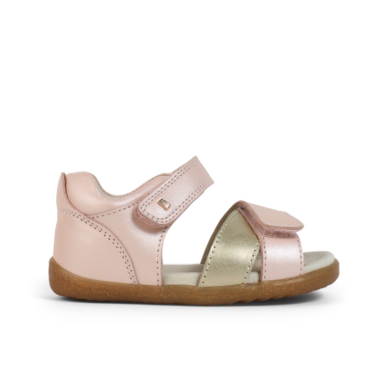 SU Sail Seashell + Gold