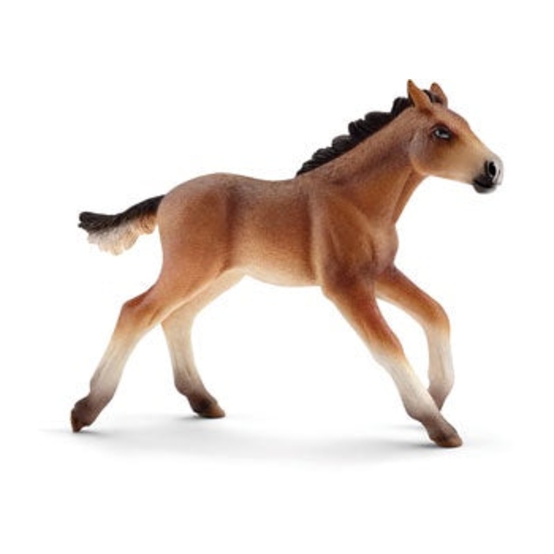 Schleich – 13807 Mustang Foal