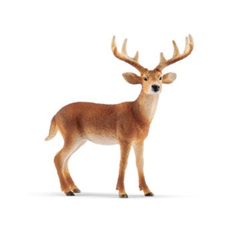 Schleich – 14818 White-tailed buck
