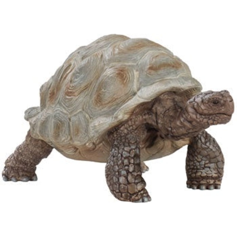 Schleich – 14824 Giant tortoise