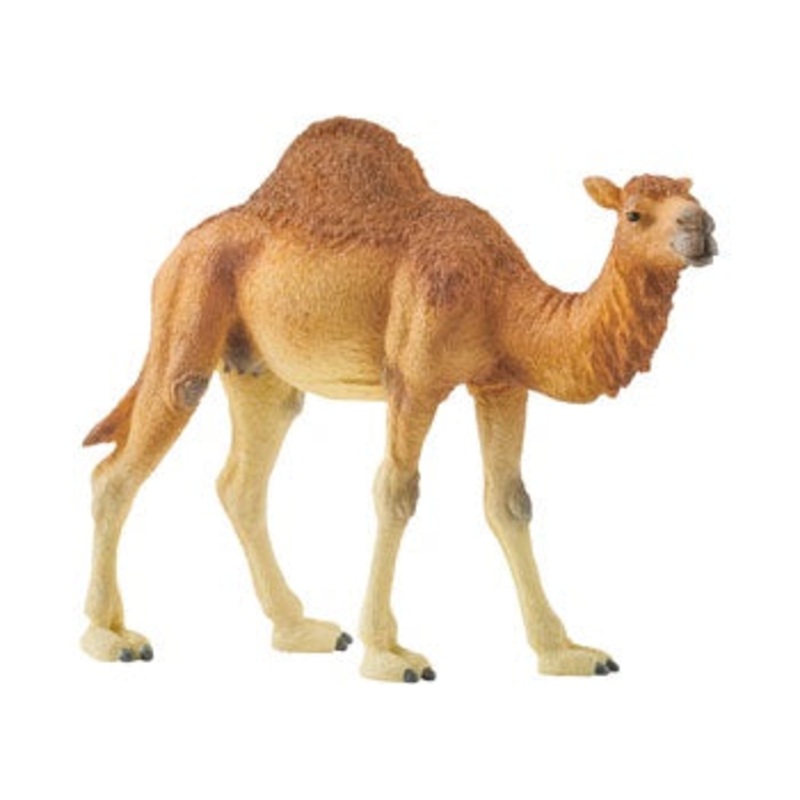 Schleich – 14832 Dromedary
