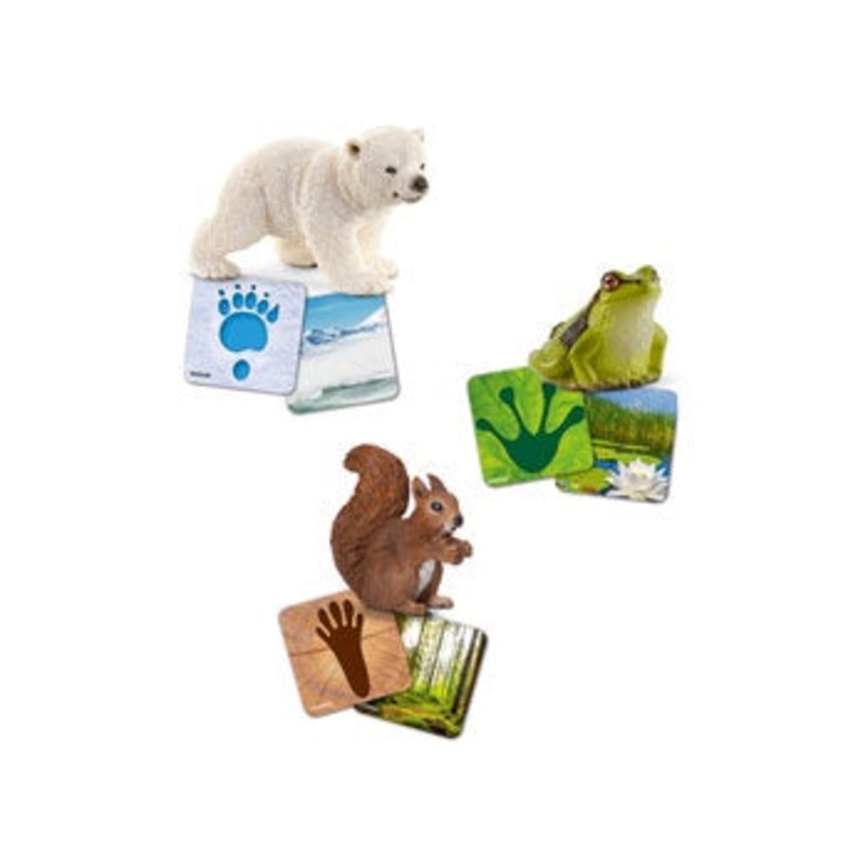 Schleich- Wild Life flash cards