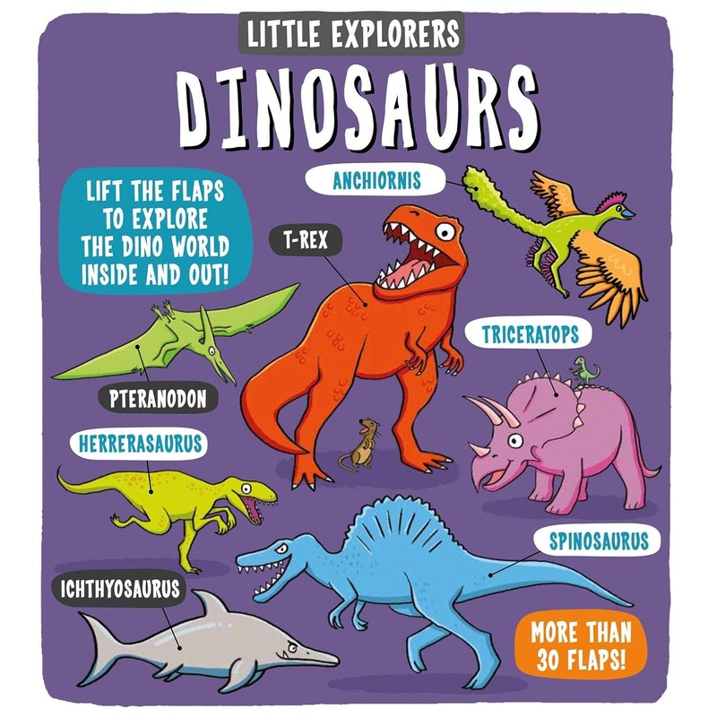 Little Explorers: Dinosaurs Flap Book