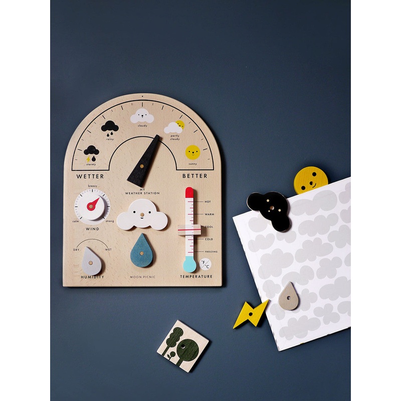 My Weather Station