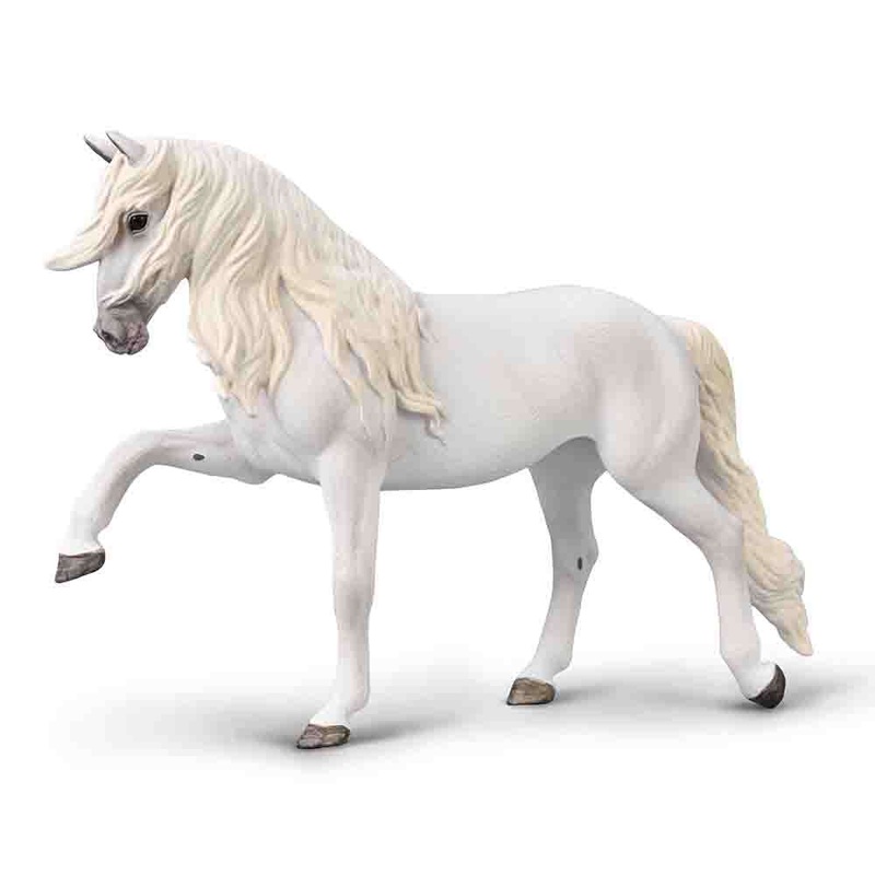 Lipizzaner Mare – Spanish walk