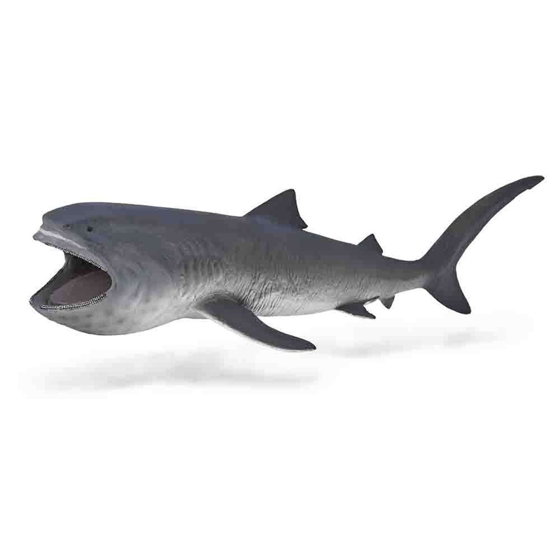 Megamouth Shark