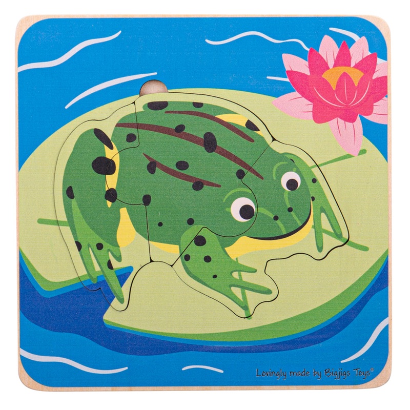 Lifecycle Layer Puzzle – Frog