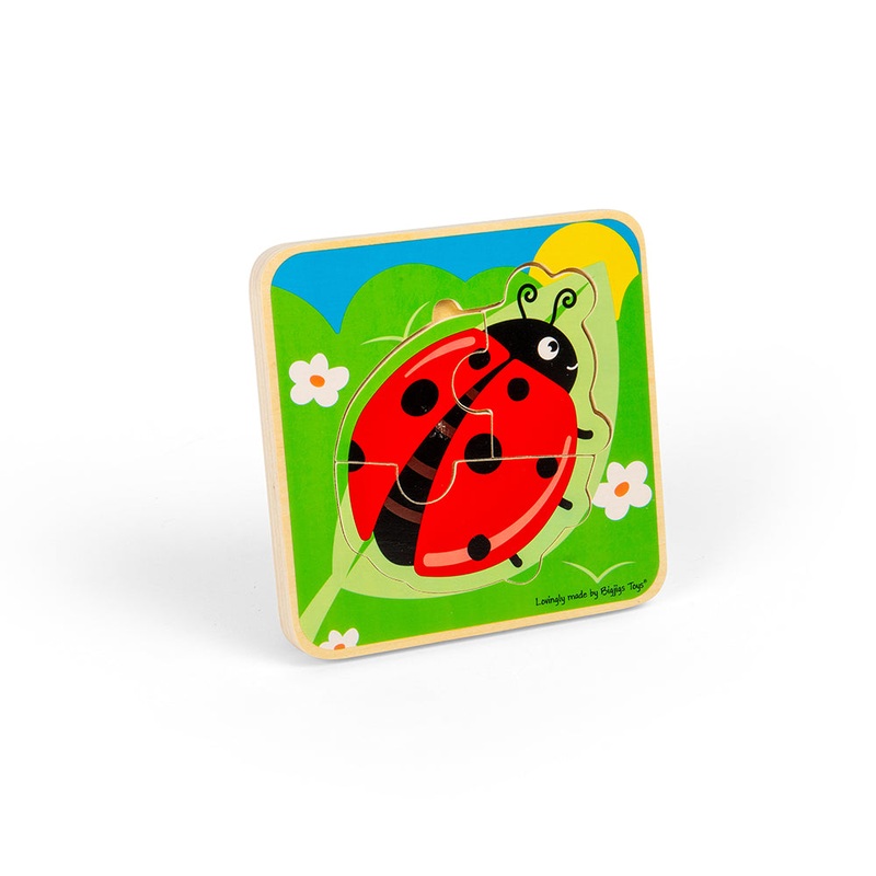 Lifecycle Layer Puzzle – Ladybug