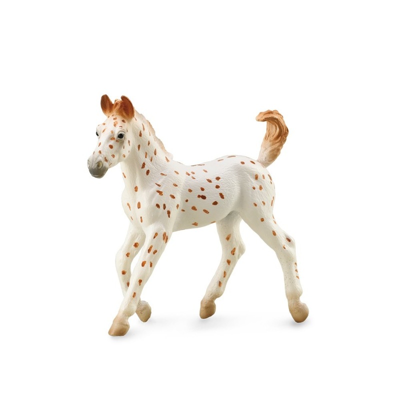 Knabstrupper Foal – Leopard Spotted