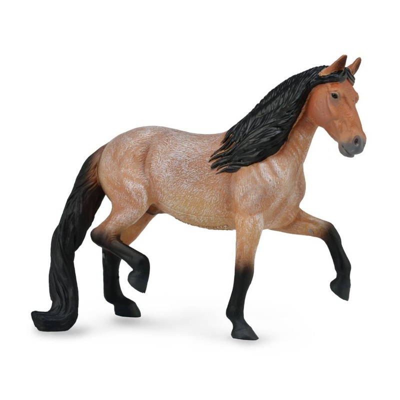Mangalarga Marchador Stallion Bay Roan