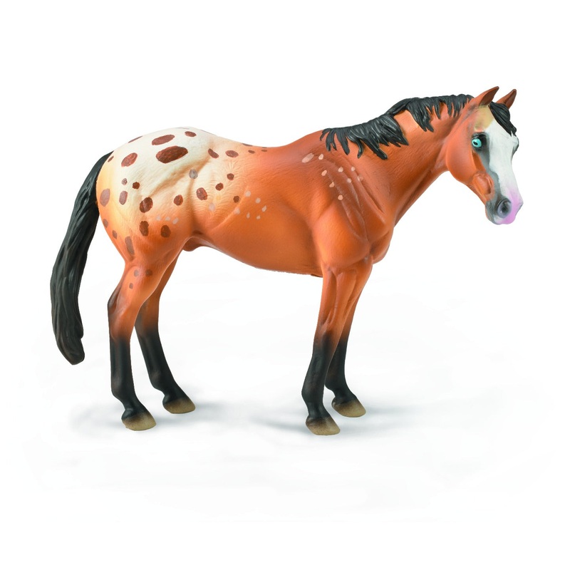 Appaloosa Stallion Light Brown