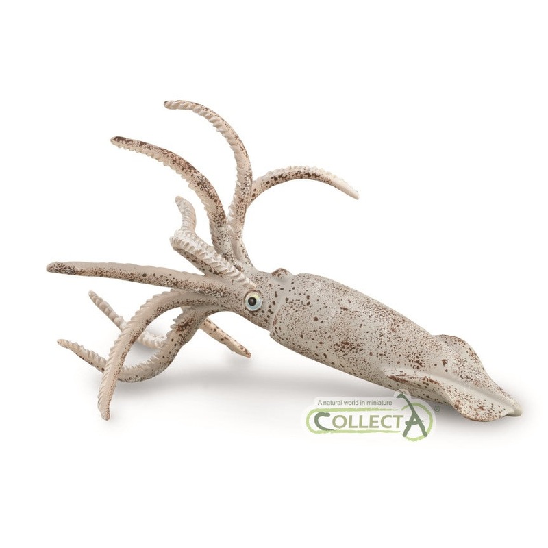 Belemnite