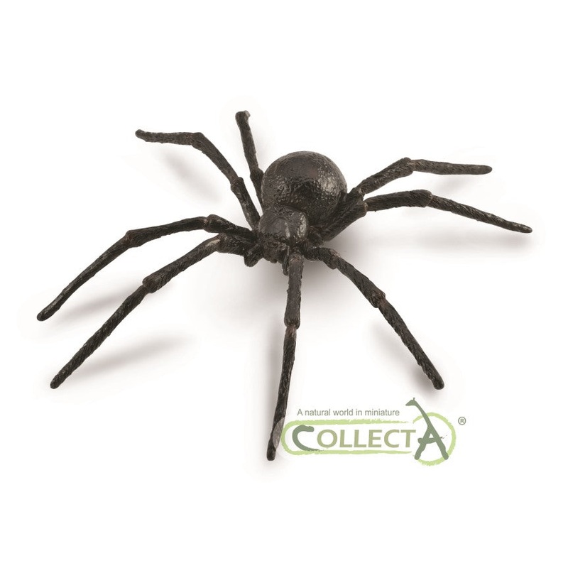 Black Widow Spider