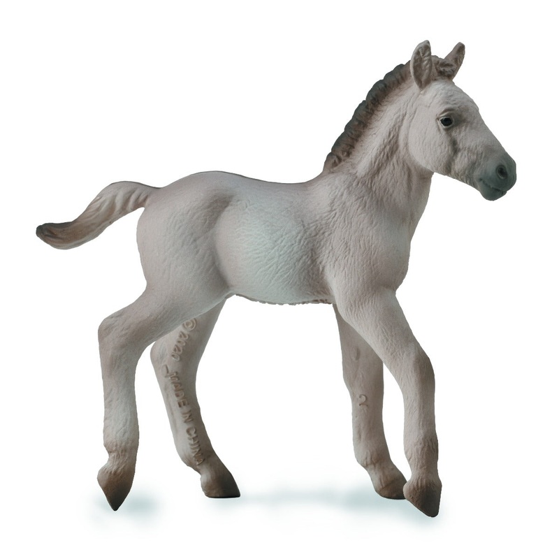 Konik Foal – Blue Dun