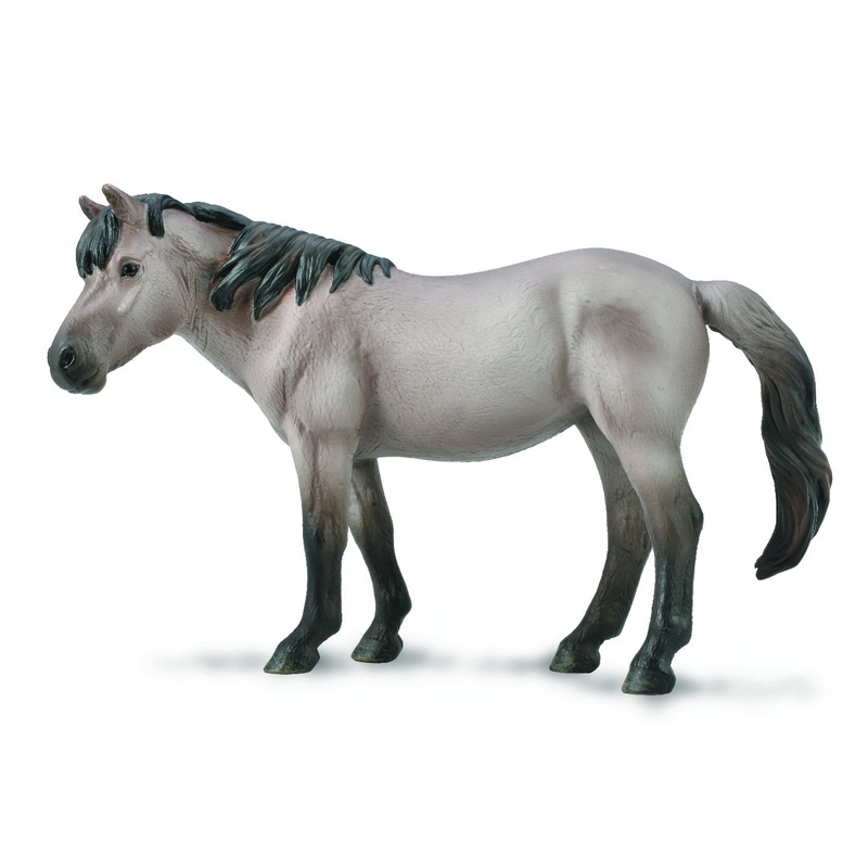 Konik Mare  Blue Dun