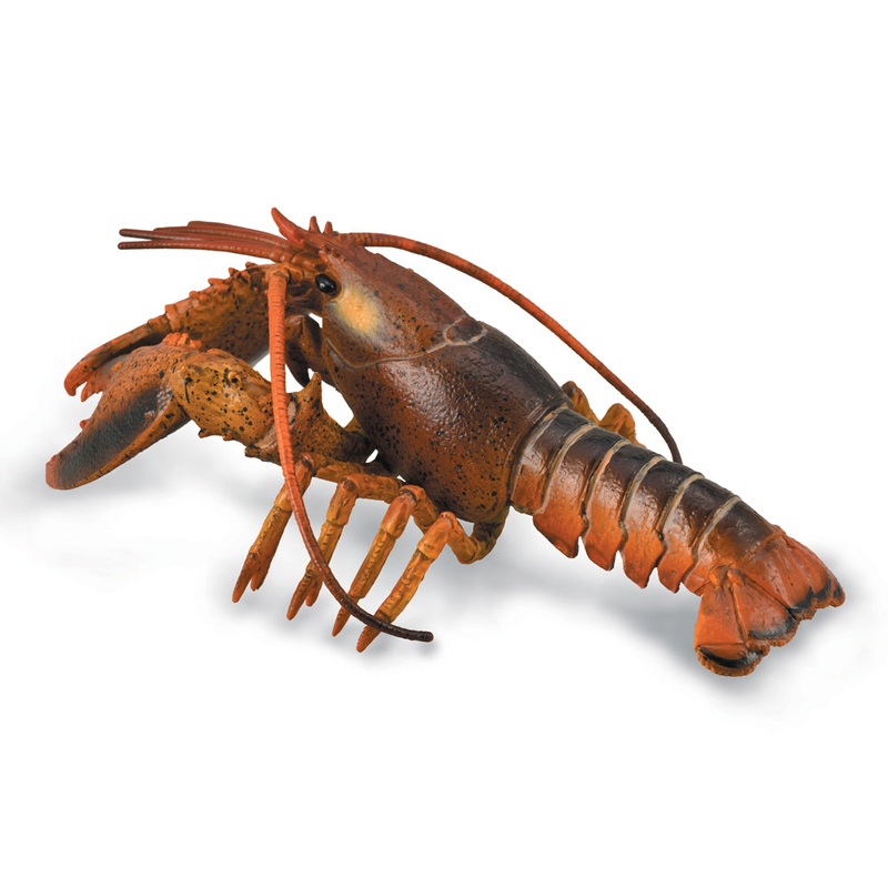 Lobster