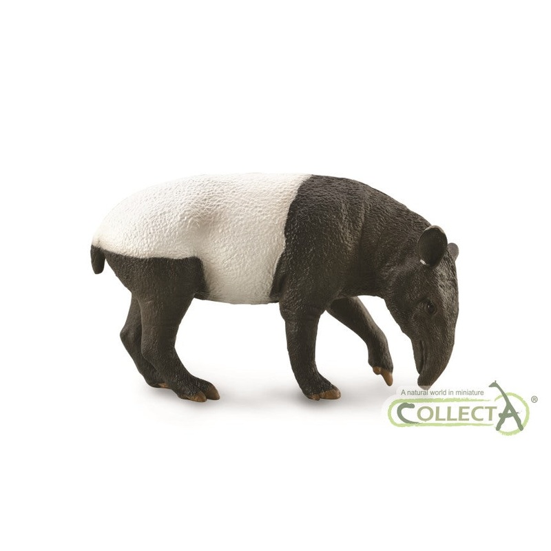 Malayan Tapir