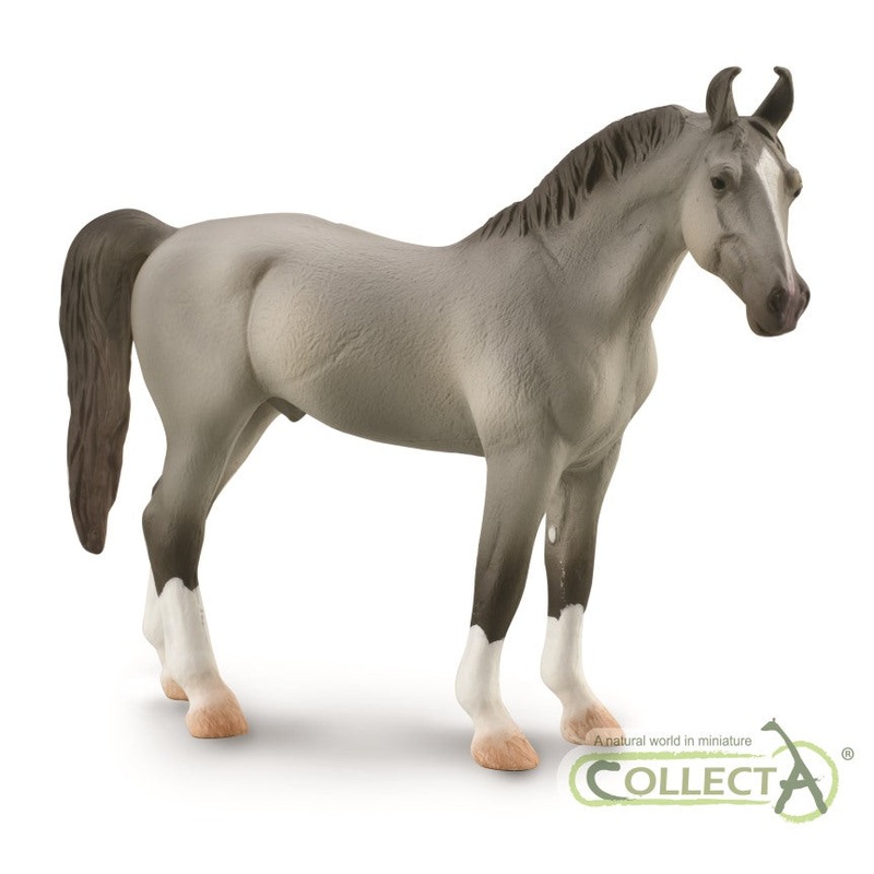 Marwari Stallion – Grey