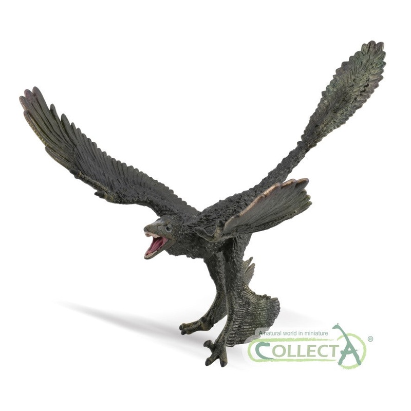 Microraptor- 1:6 Scale