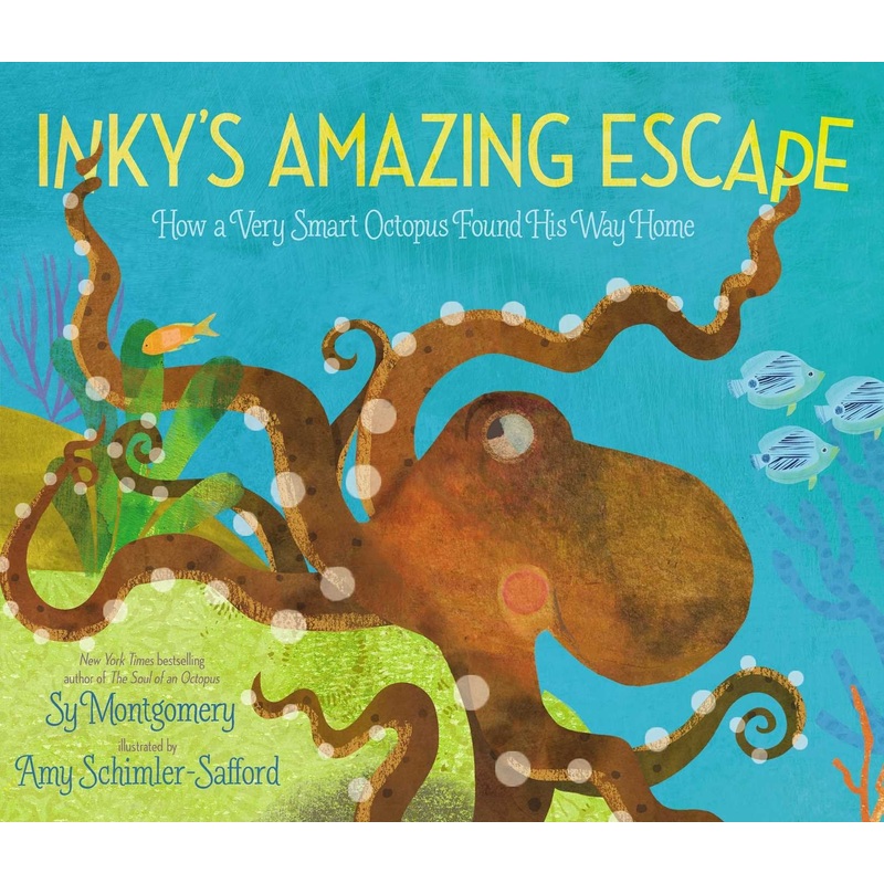Inky’s Amazing Escape