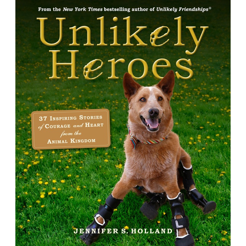 Unlikely Heroes