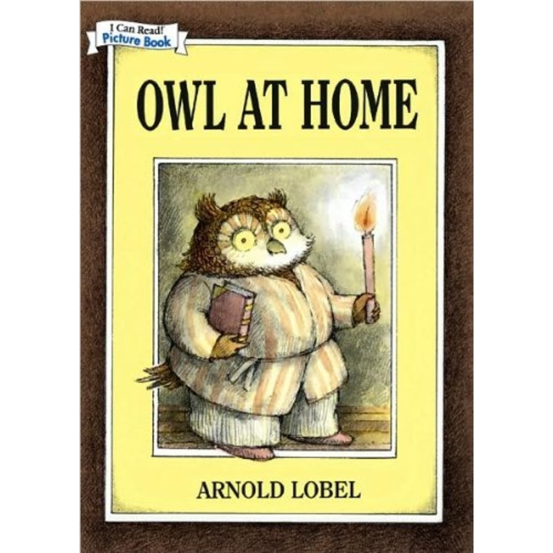Owl At Home