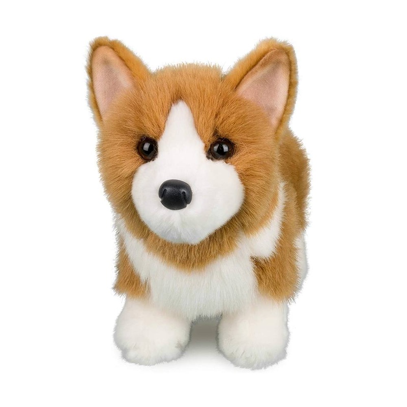 Louie Corgie