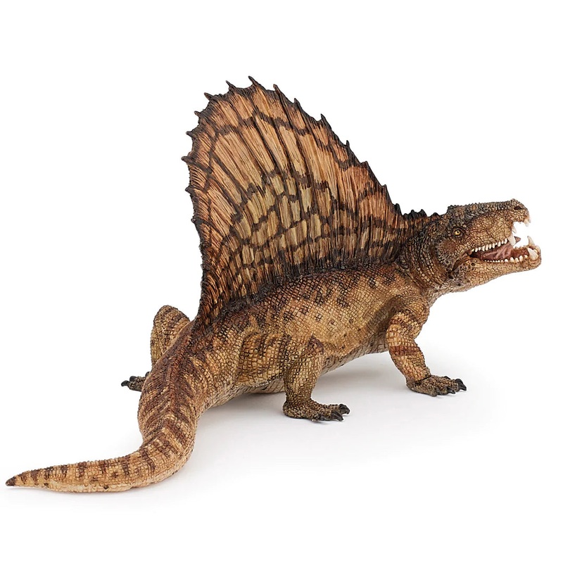 Dimetrodon