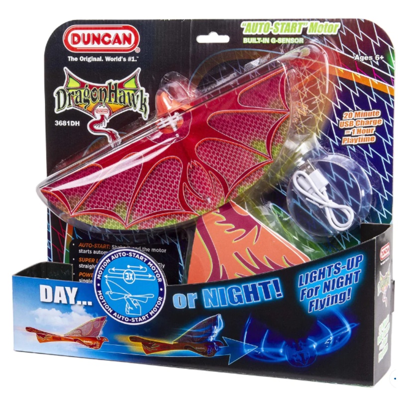 Dragon Hawk Bird