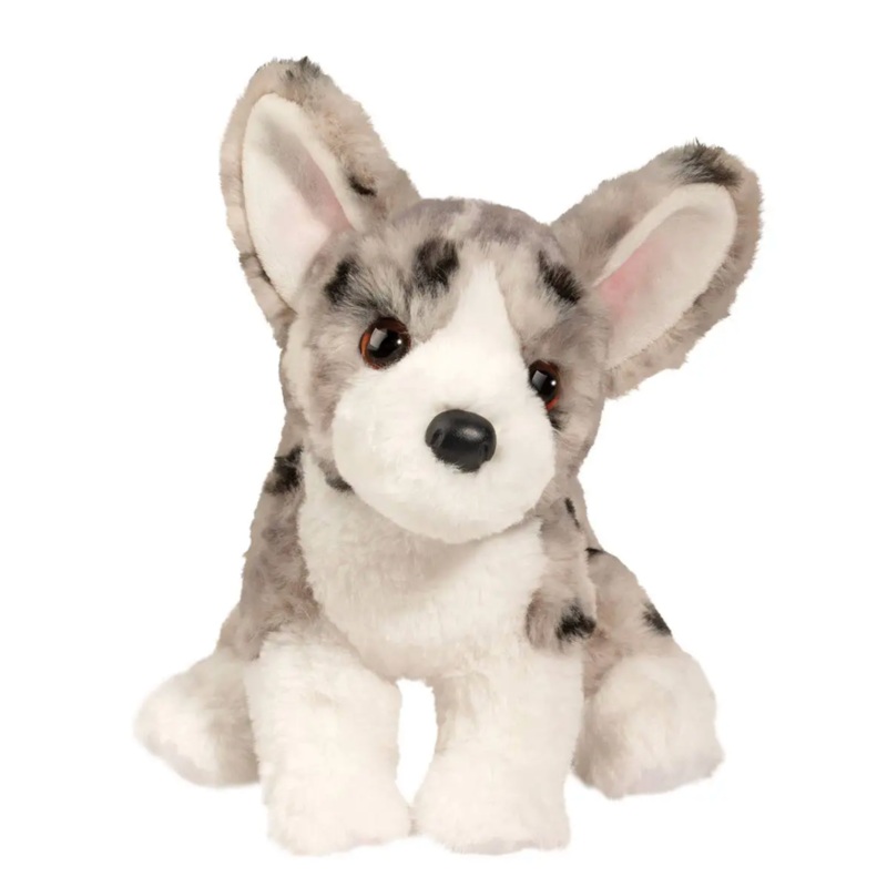 Codie Corgi