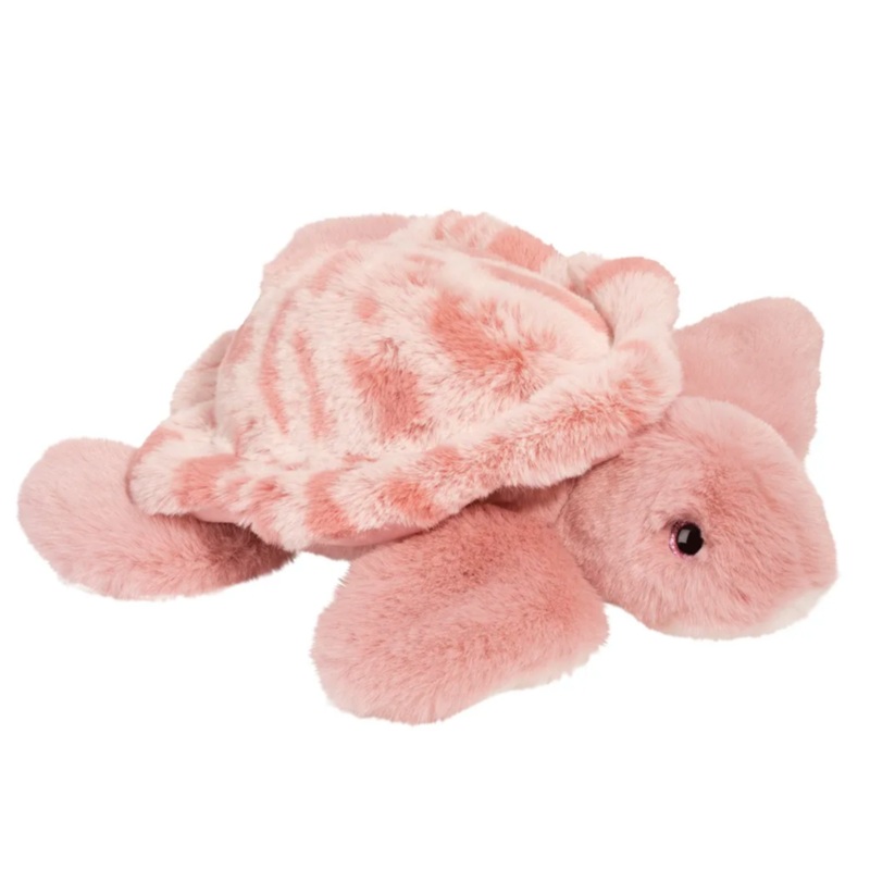 Cordelia Turtle