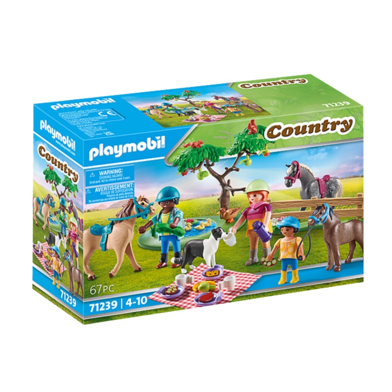 Picnic Adventure With Horses