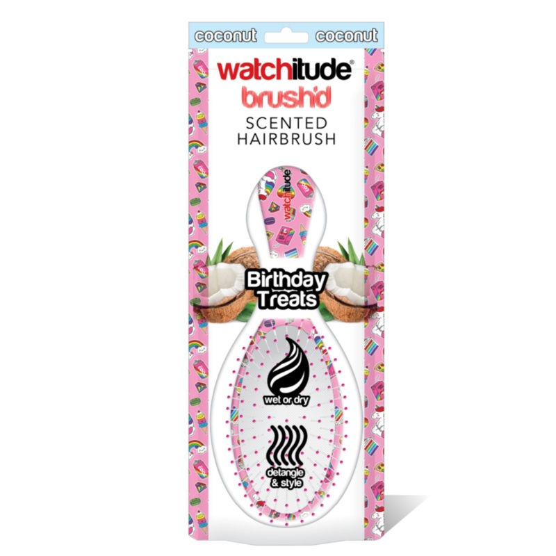 Birthday Treats Hairbrush