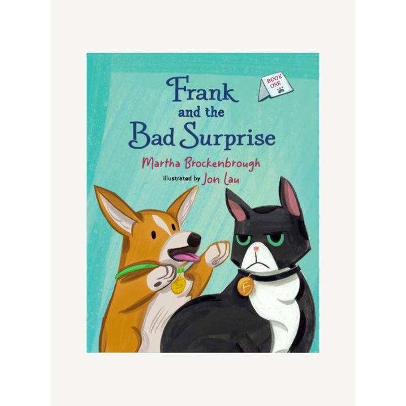 Frank and the Bad Surprise