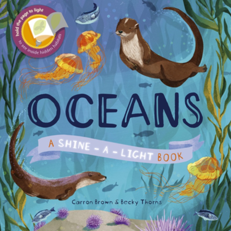 Oceans Shine-a-Light