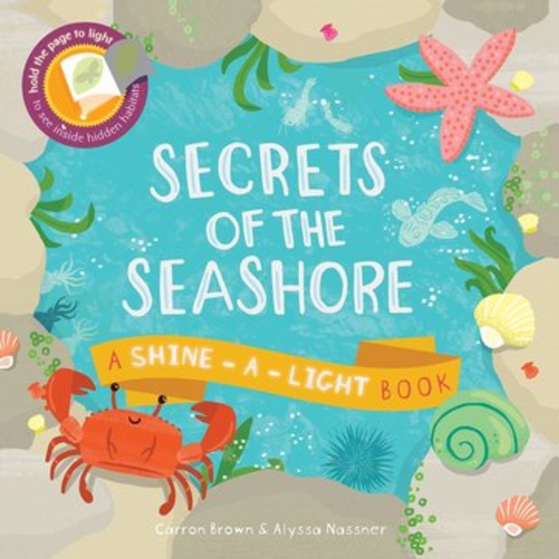 Secrets of the Seashore Shine-A-Light
