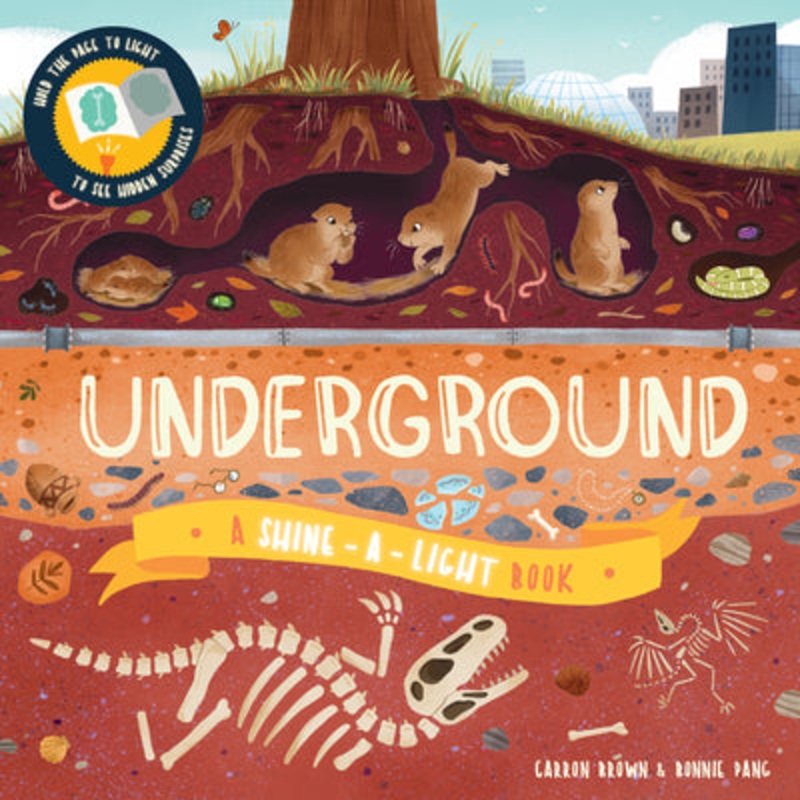 Underground Shine-A-Light
