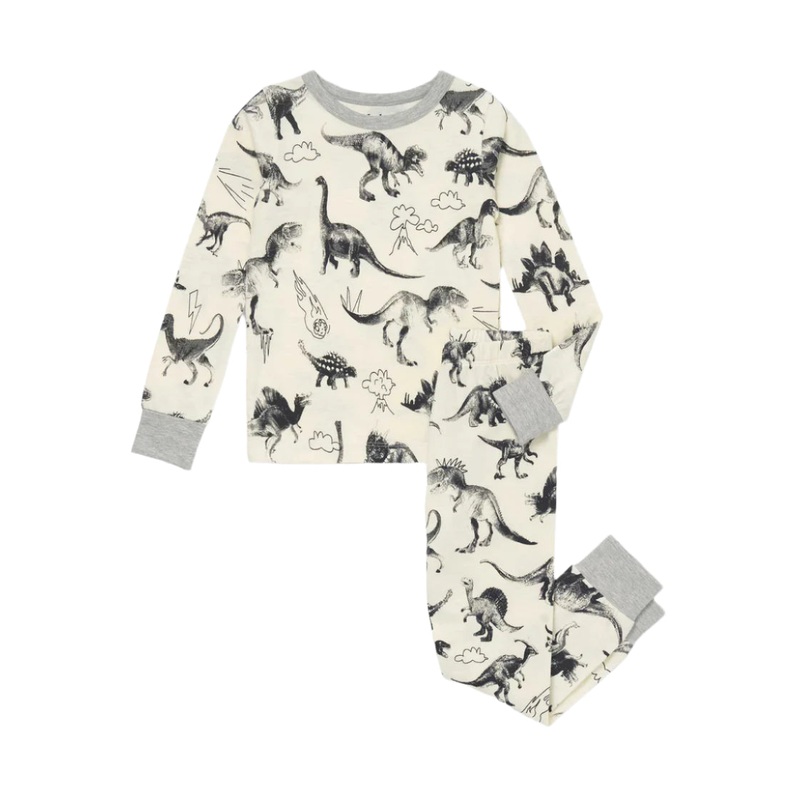 Hatley Pajama Set (Dino Extinction)
