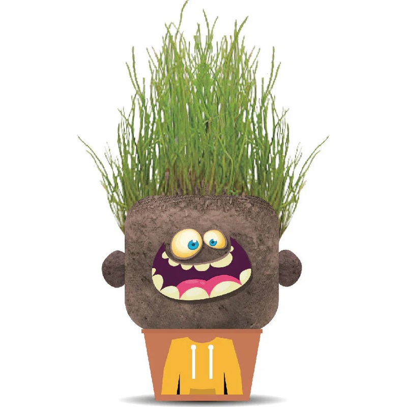 Hape Plant Pals Monster
