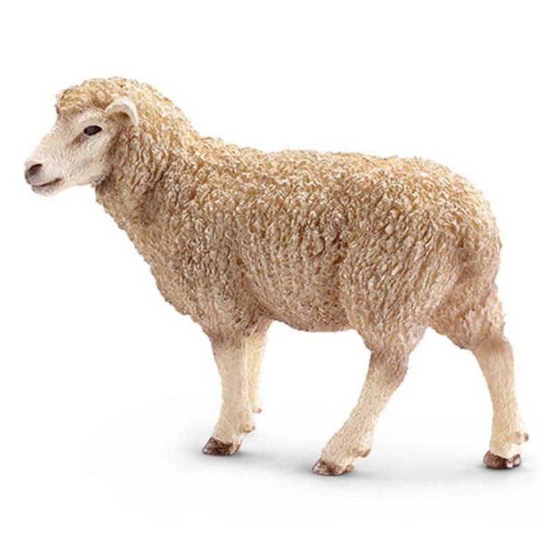 Schleich Sheep
