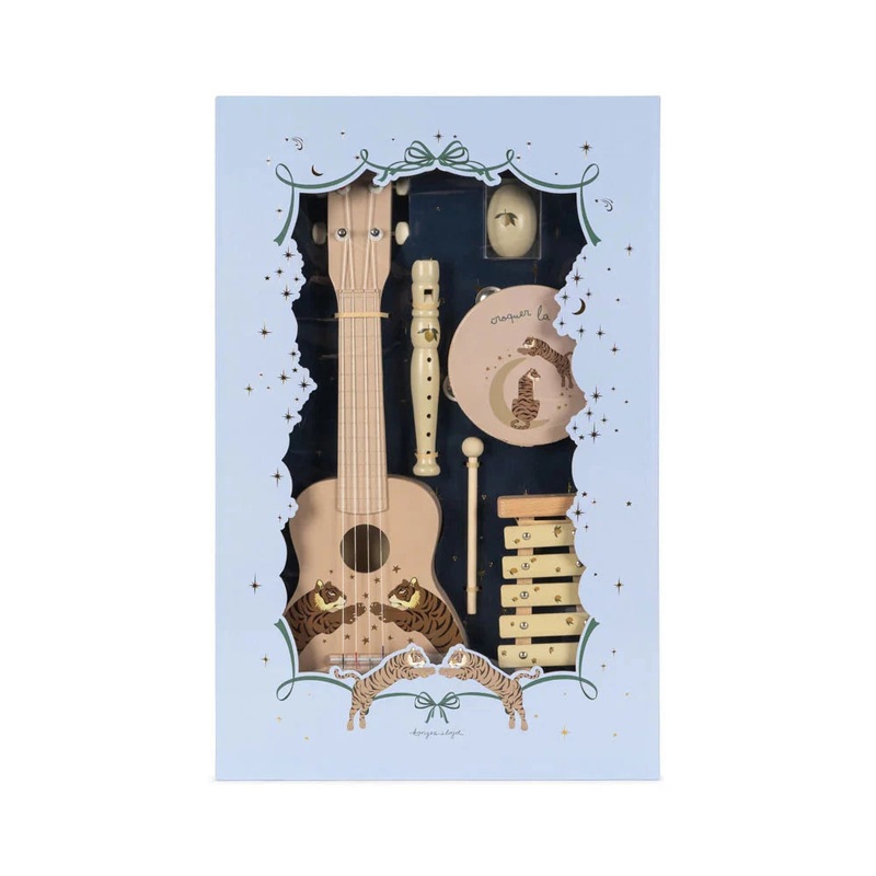 Musical Instruments Gift Set (Inc 5 Instruments) – Tiger Sand