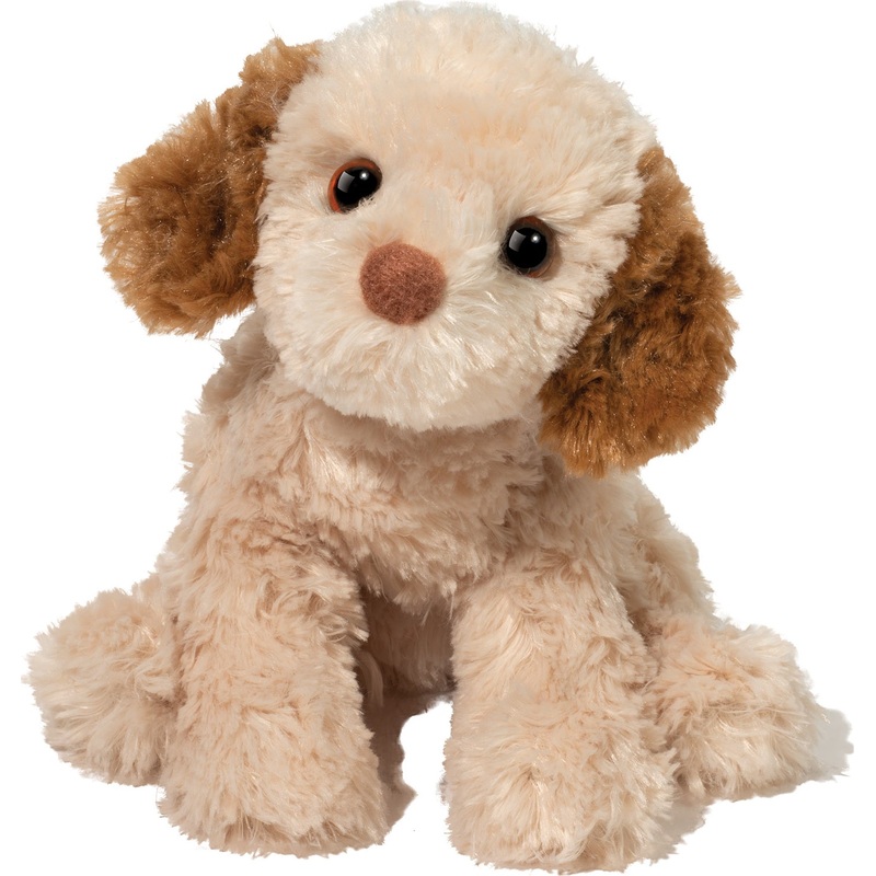 Biscuit Cavapoo