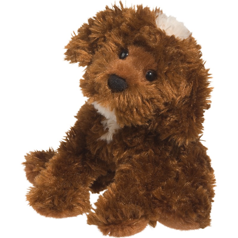 Bosco Chocolate Labradoodle