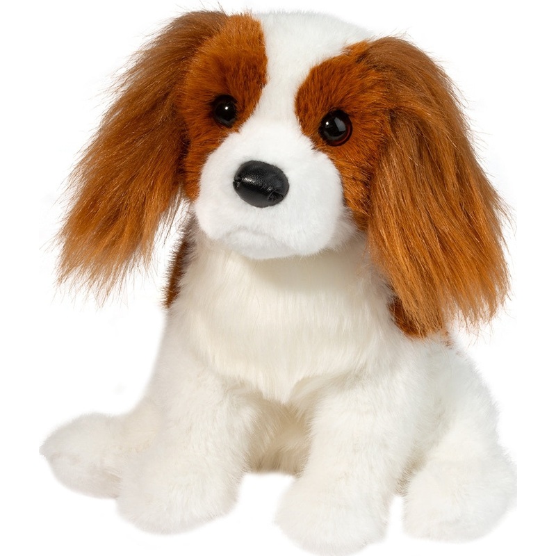 Kingsley Cavalier King Charles Spaniel