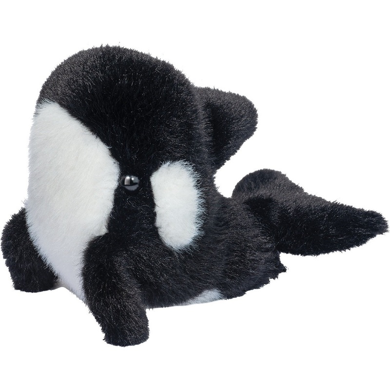 Lil’ Baby Orca Whale