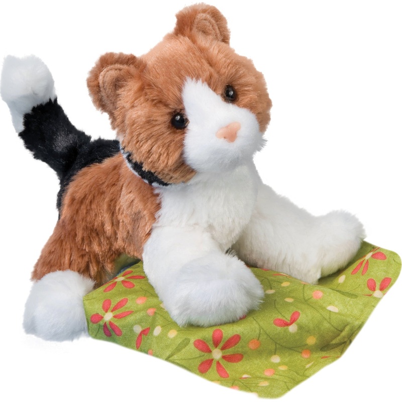 Maps Calico Cat