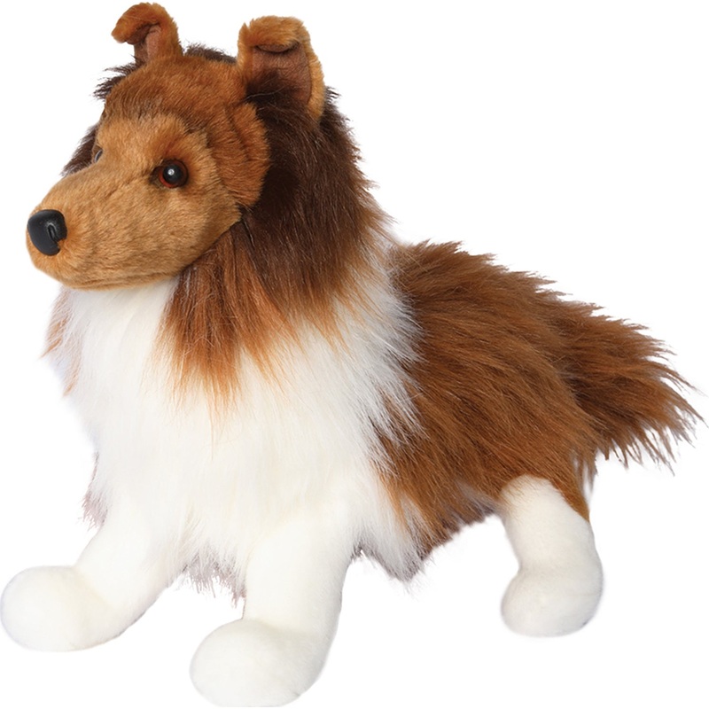 Whispy Sheltie