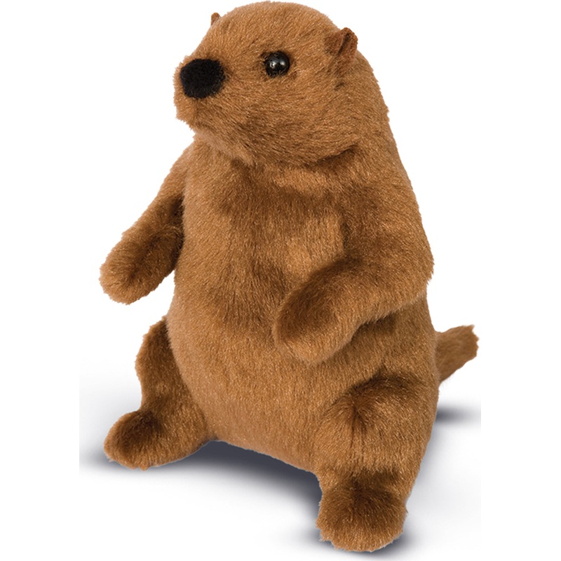 Mr. G Groundhog